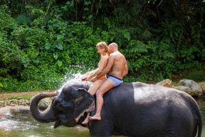 khaolak-elephant-bathing-half-day